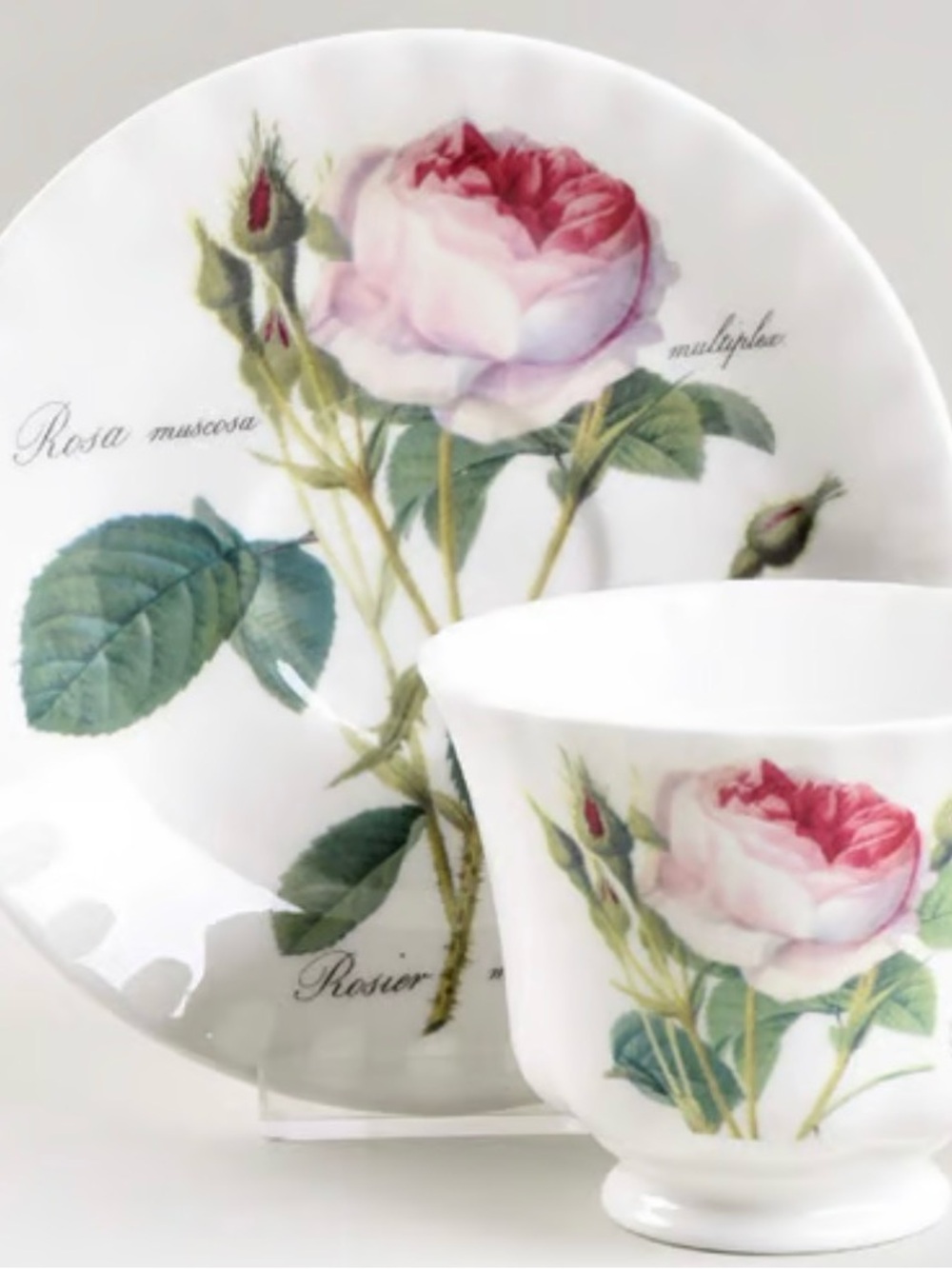 Roy Kirkham “Redouté Roses” Fine Bone China Teacup & Saucer Set (England, 1996)